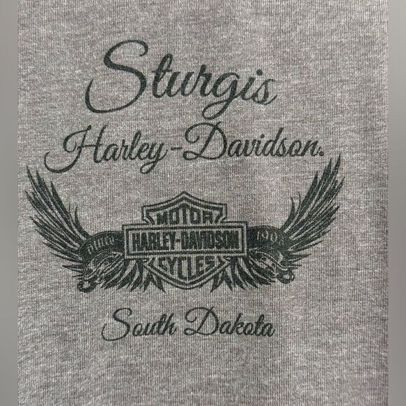 Harley-Davidson Tee Sturgis Wille G Skull graphic V-Neck Short Sleeve size XL - Picture 8 of 13